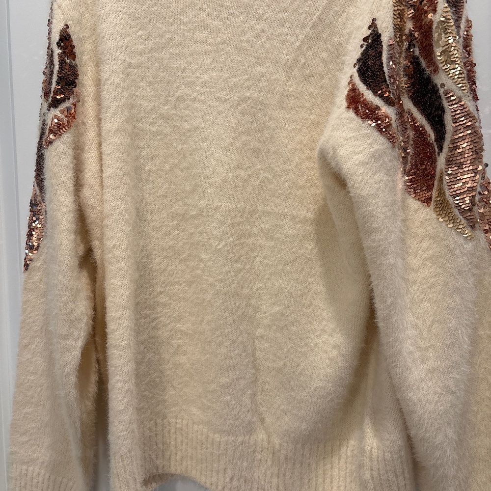Sweater, sequin trim sweater with matching earrings.